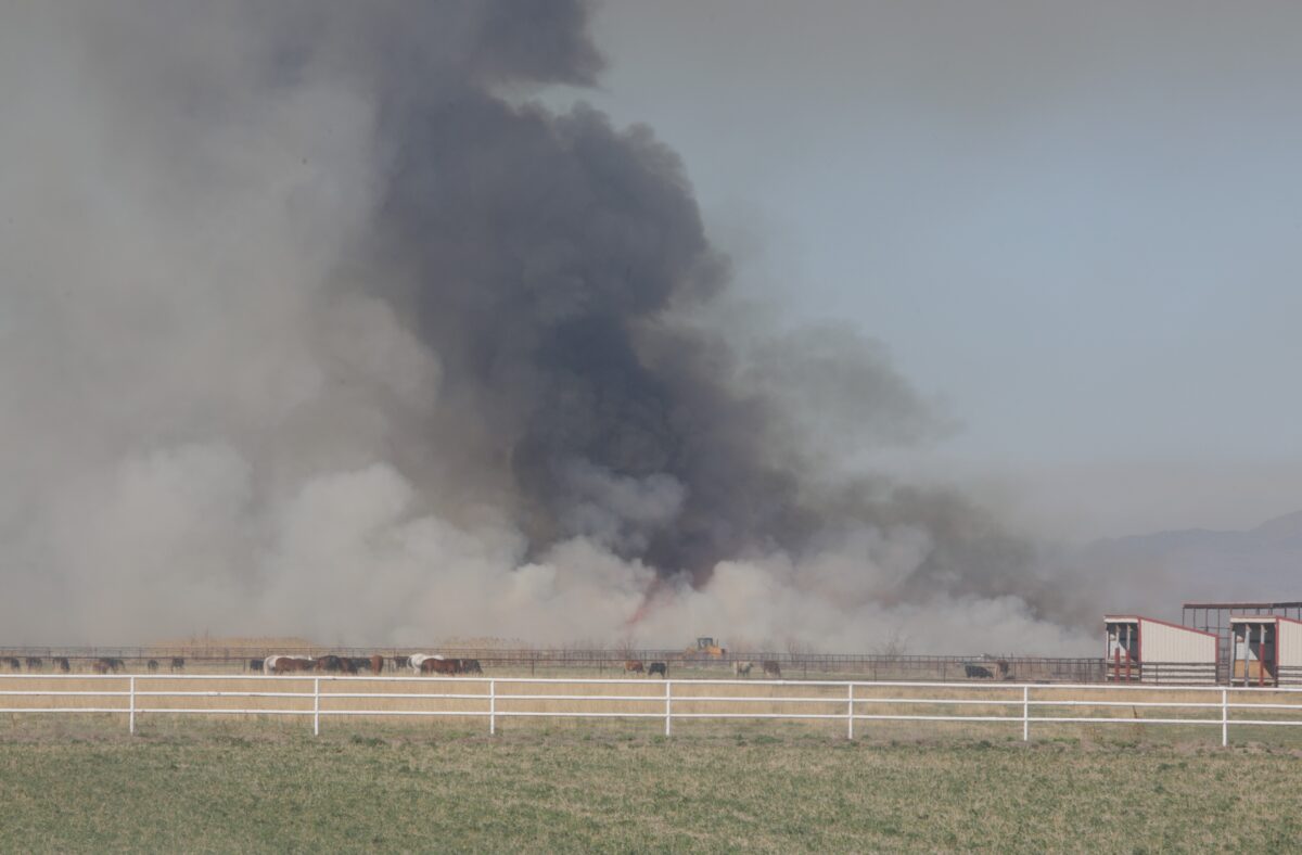 Controlled burn sends smoke billowing above Utah Valley